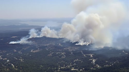 forêt_incendie_sud_ouest