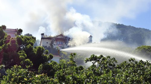 intervention_incendie_foret