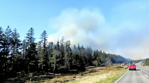 Intervention_Pompiers_Forêt_Fontainebleau