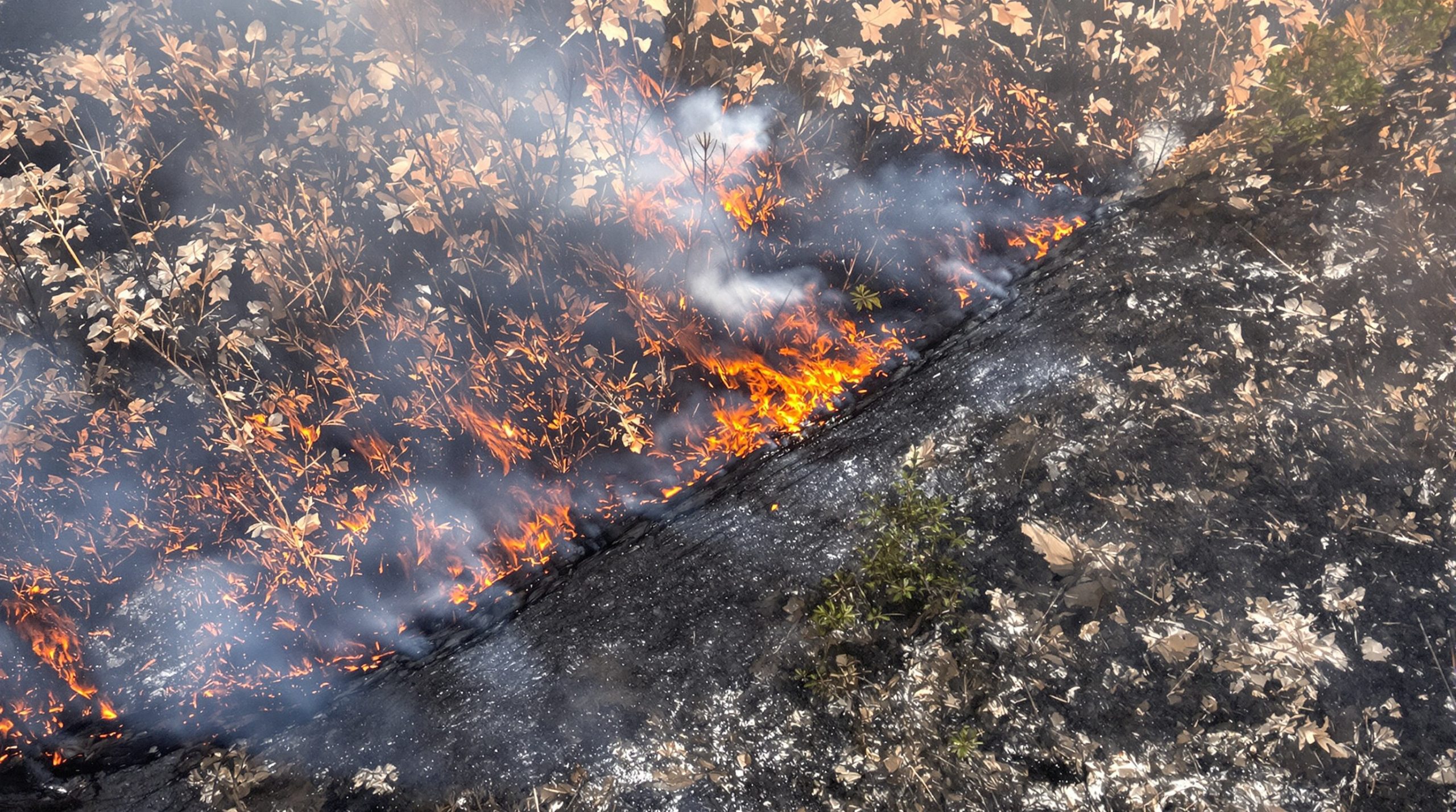 intervention_pompiers_Herault