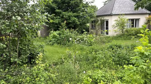 jardin_abandonne_maison