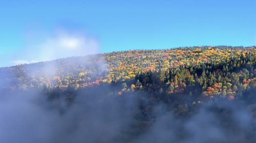 lutte_incendie_forestiére_var
