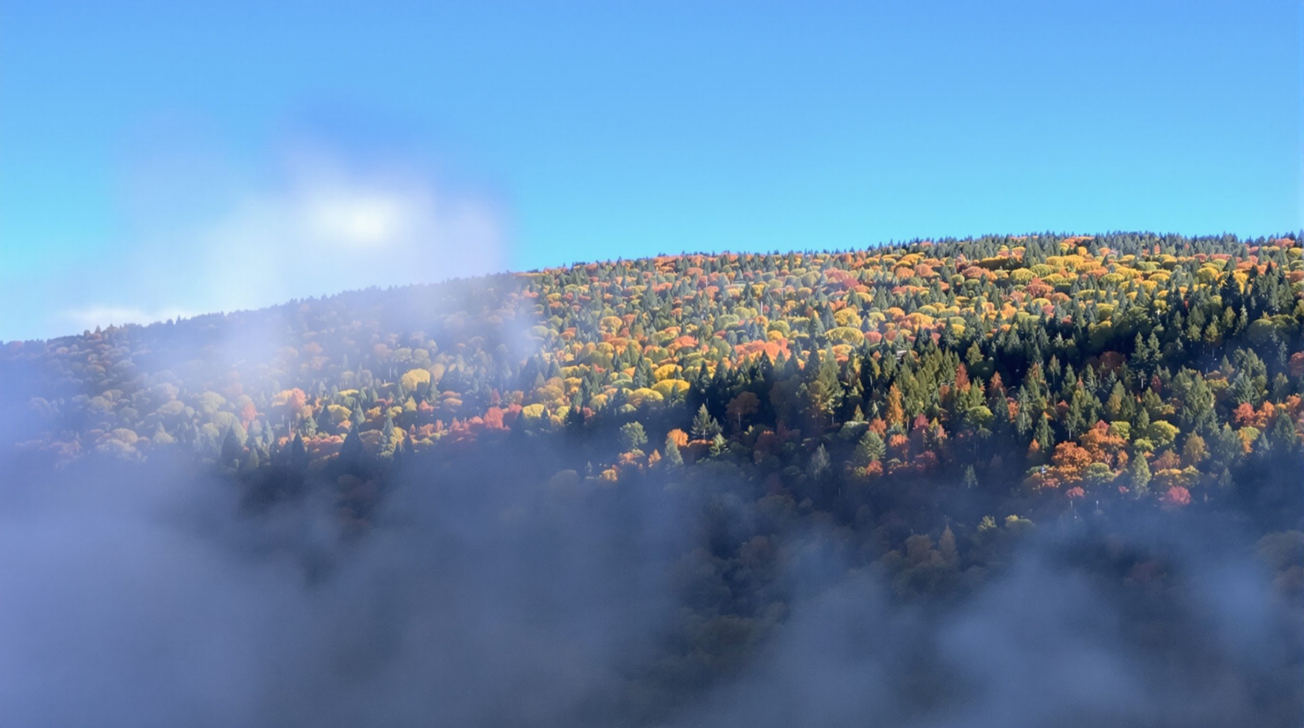 lutte_incendie_forestiére_var
