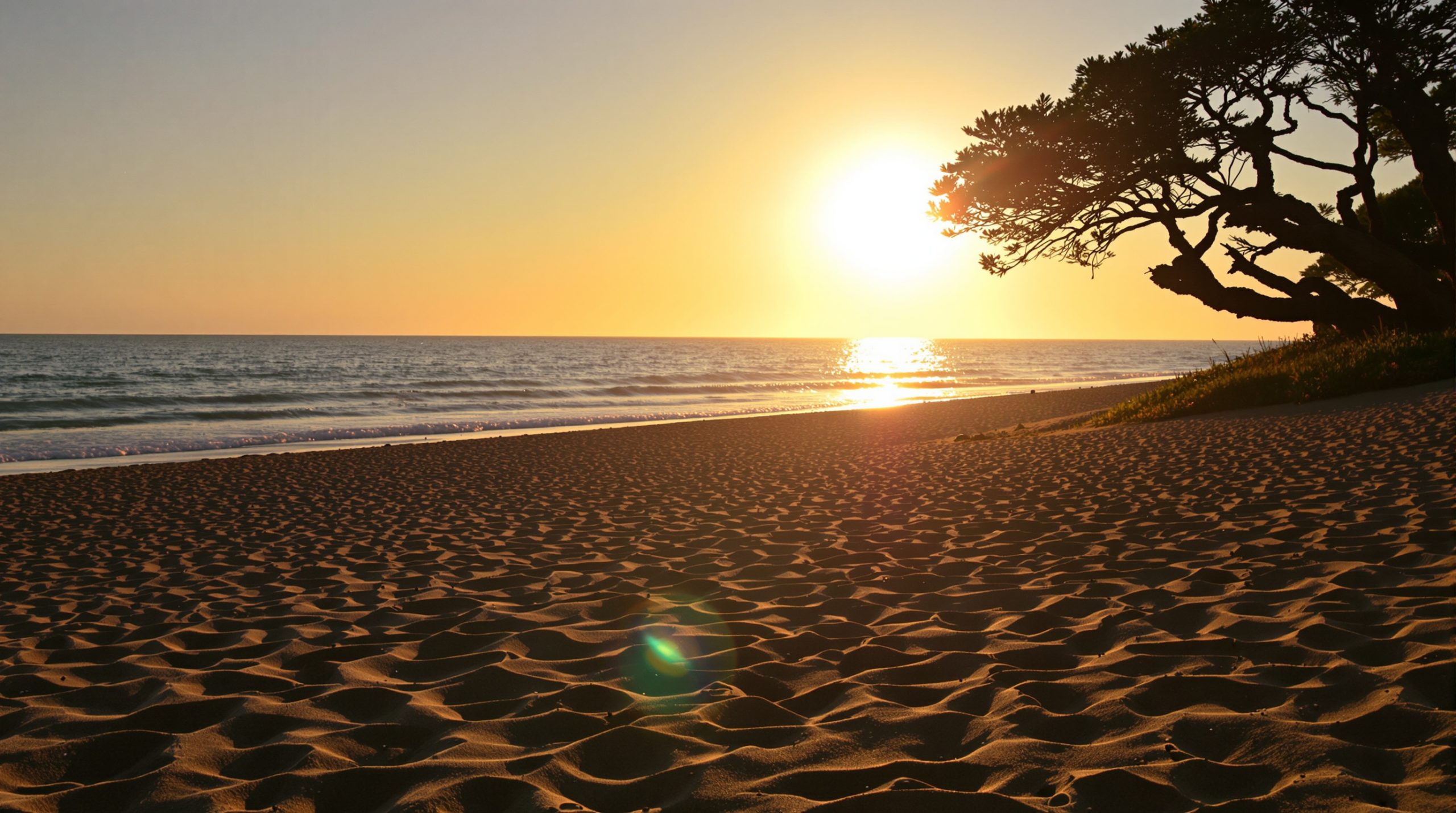 plage-matinale-sans-abri