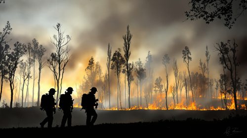 Pompiers en action dans forêt incendiée