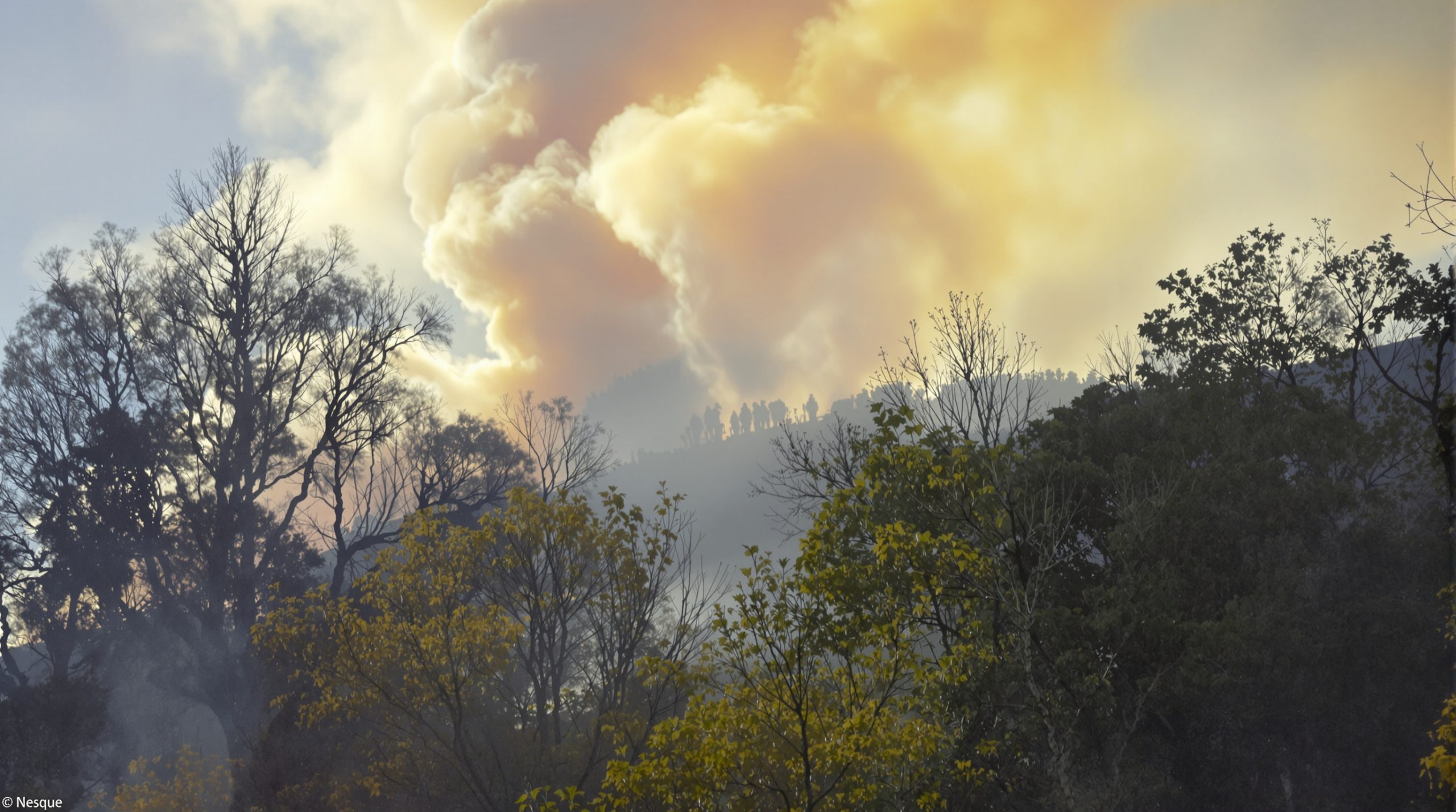 pompiers_forets_girondines