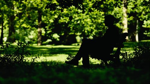 Réflexion paisible en parc