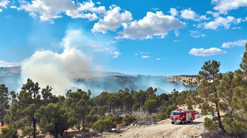 surveillance_pompiers_foret