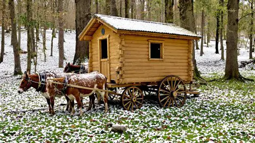 calèche-forêt-hiver