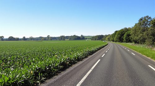 ChampMailhocNature
