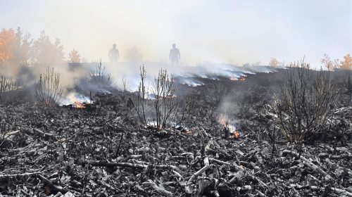 incendie_deux_sevres
