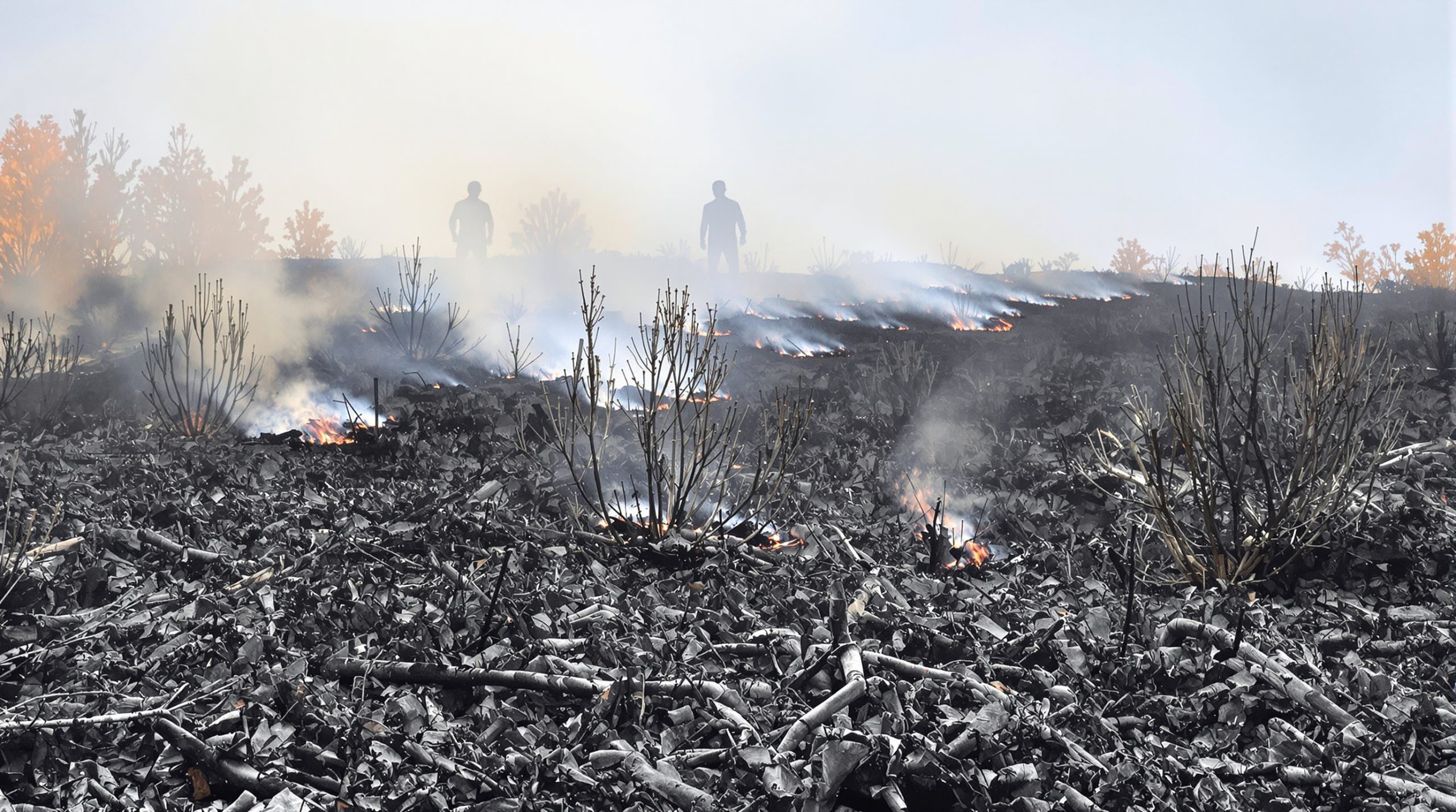 incendie_deux_sevres