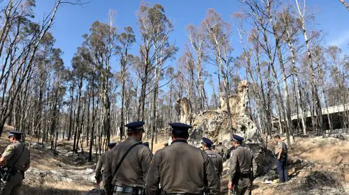 Inspection_Policière_Forêt