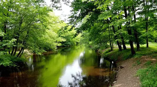 investigation_nature_cours_d_eau
