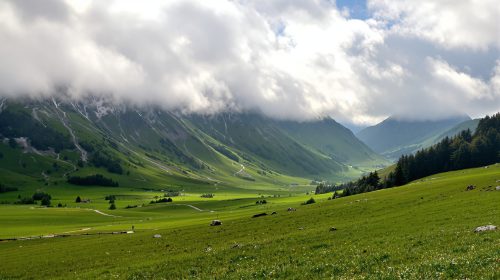 montagnes_ensoleillees_brouillard