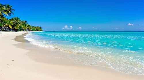 plage_tropicale_méduses