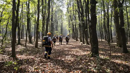 pompiers_forêt_actions