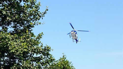 sauvetage_héliporté_clairière