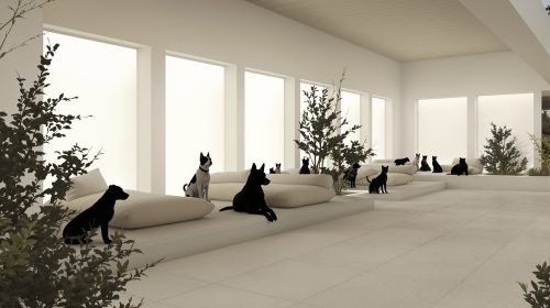 secours_animaux_isere