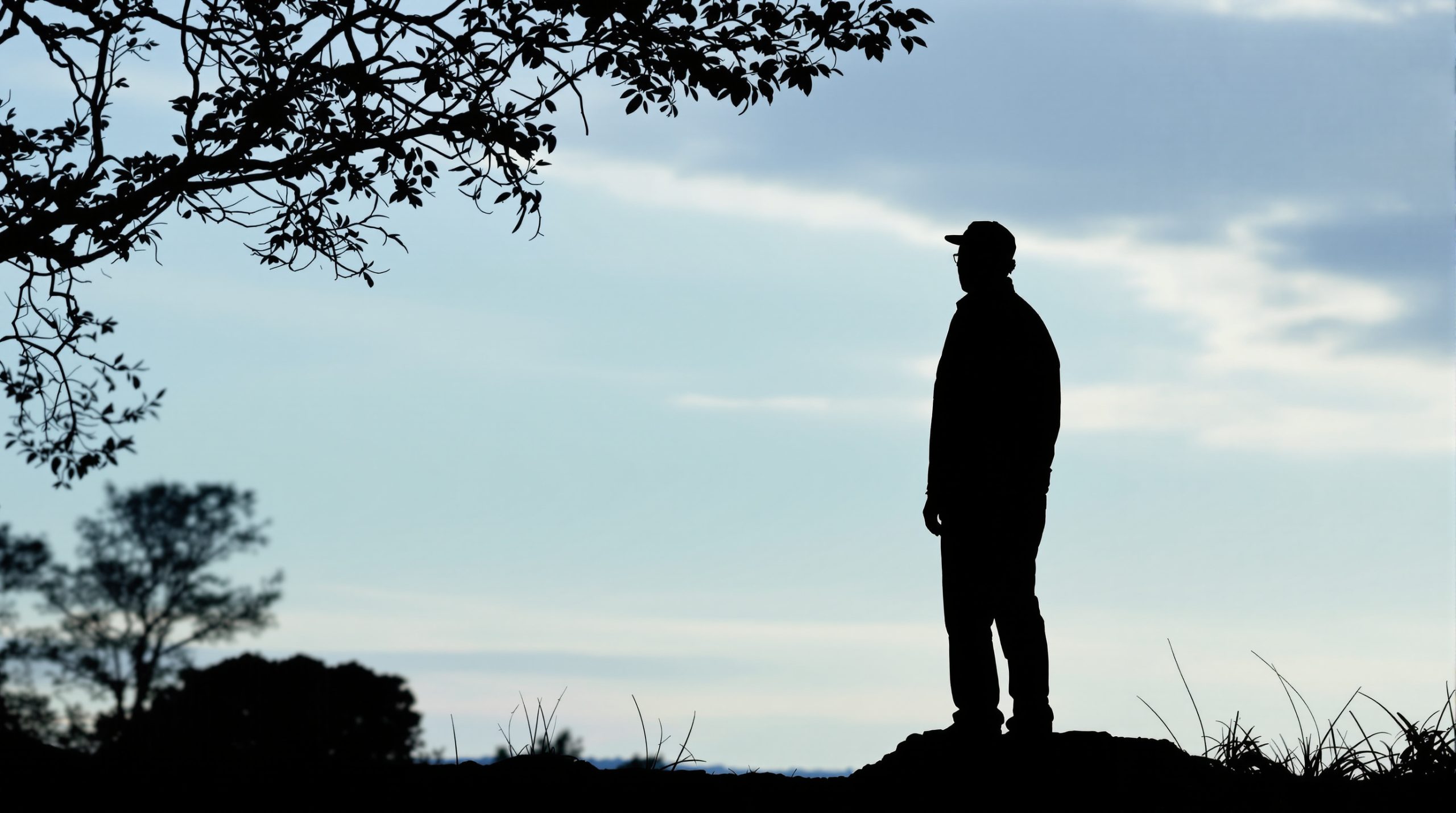 silhouette_paysage_libération