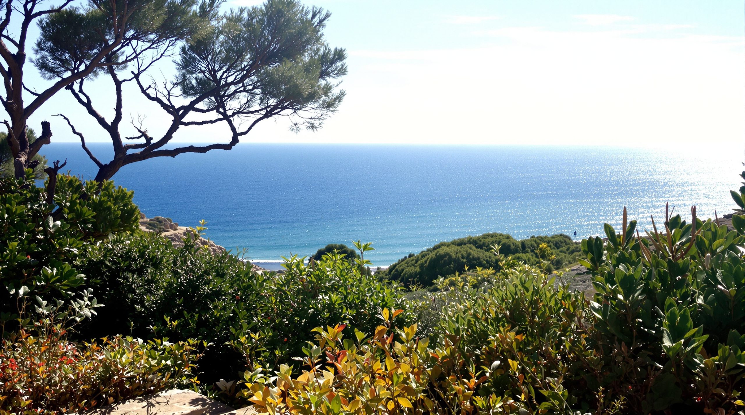 terrasse_volcanique_aegee