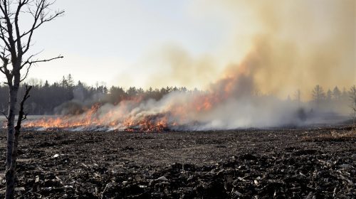 Terre brûlée et sapeurs-pompiers.