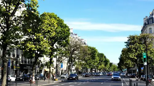 avenue_montaigne_parisienne