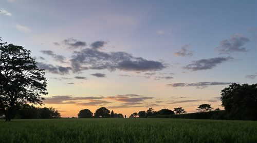 champ_crepuscule_delaware