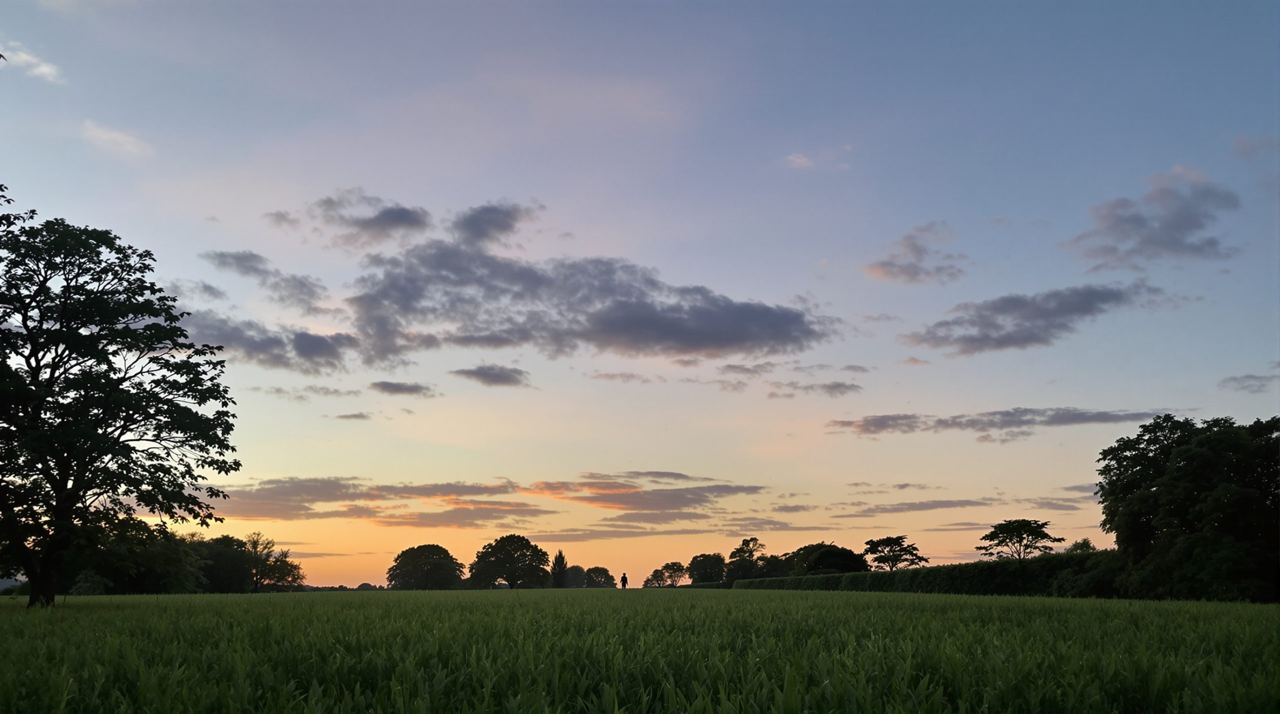 champ_crepuscule_delaware
