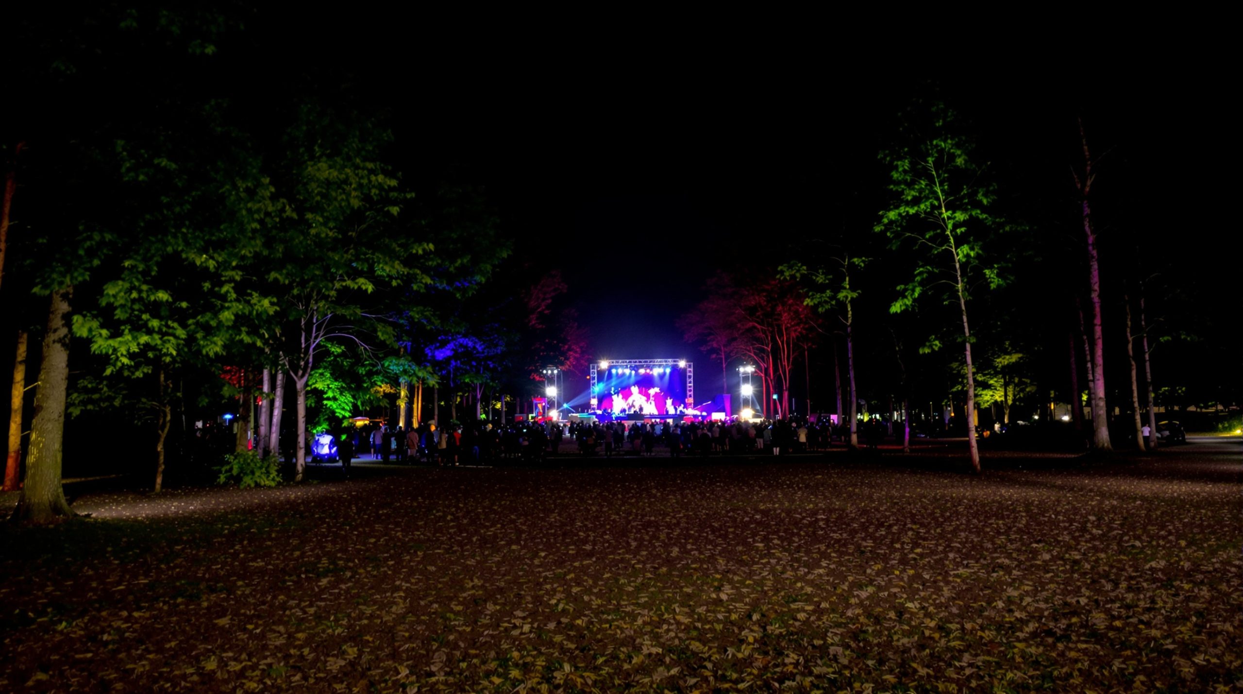 champ_festival_nuit