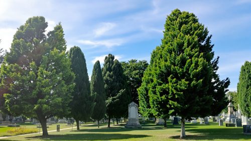 cimetière_paix_boisée