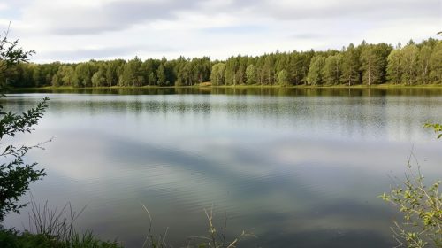 etang_securite_gendarmes_flous