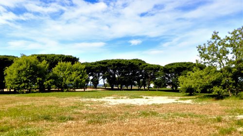 hippodrome_schachen_paisible