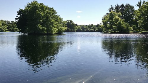 lac_tranquille_nature