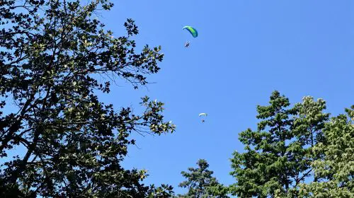 parachutistes_descente_forêt