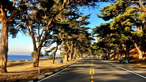 rassemblement_voitures_californie