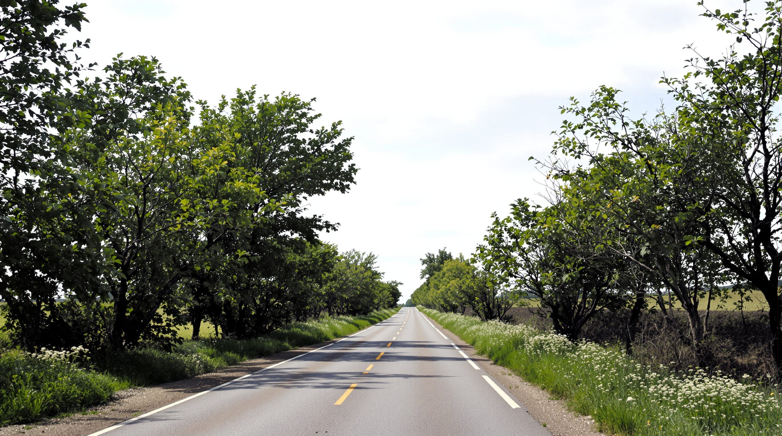route-perdue-campagne
