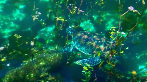 tortue_etang_naturel