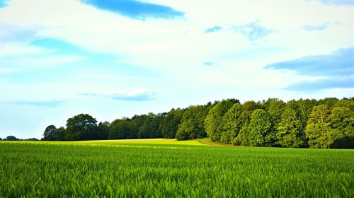 campagne_chateaulin