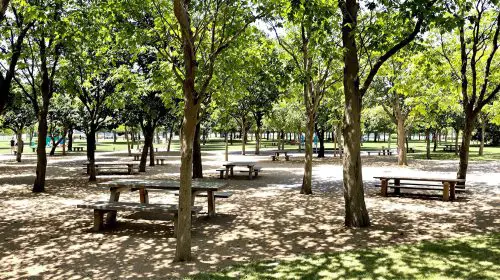 parc_jeu_vide_nice
