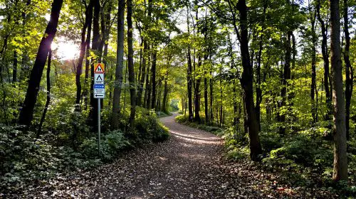 sentier-cevennes-nature