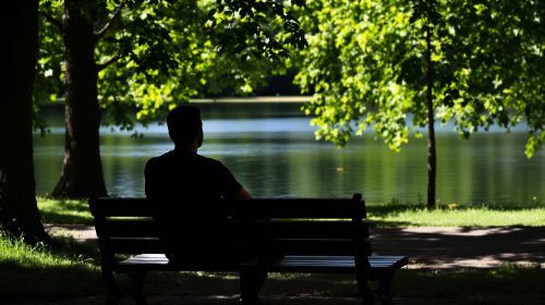 solitude_parc_ensoleillé