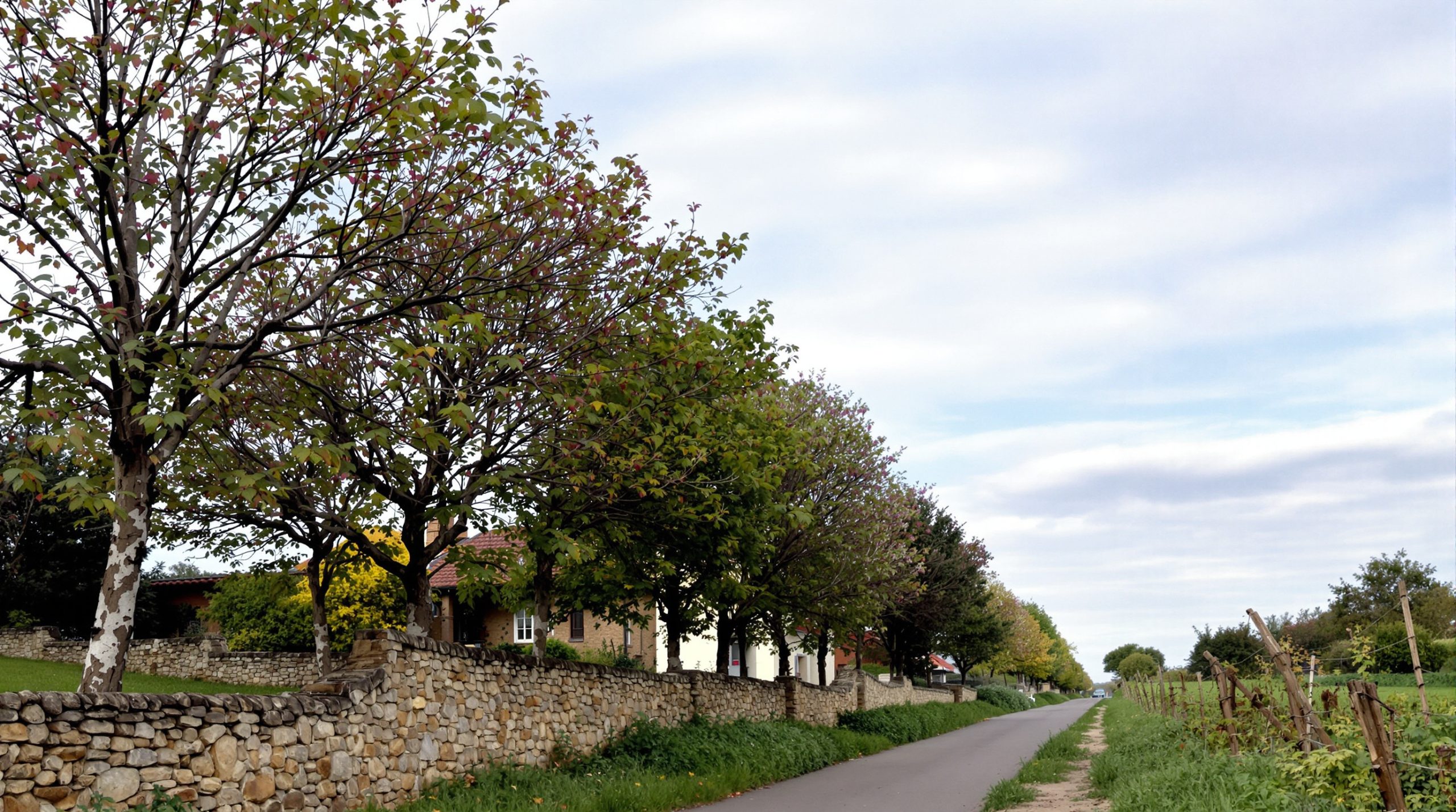 village-verlus-paysage